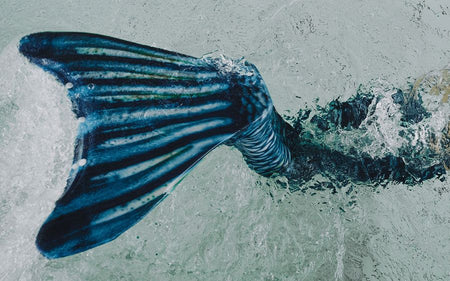 Aikuisten merenneidon pyrstöt (setti)